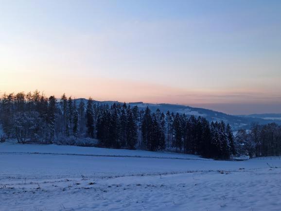 Modernes Rhombushaus Im Naturparadies Sauerland Balve Buitenkant foto