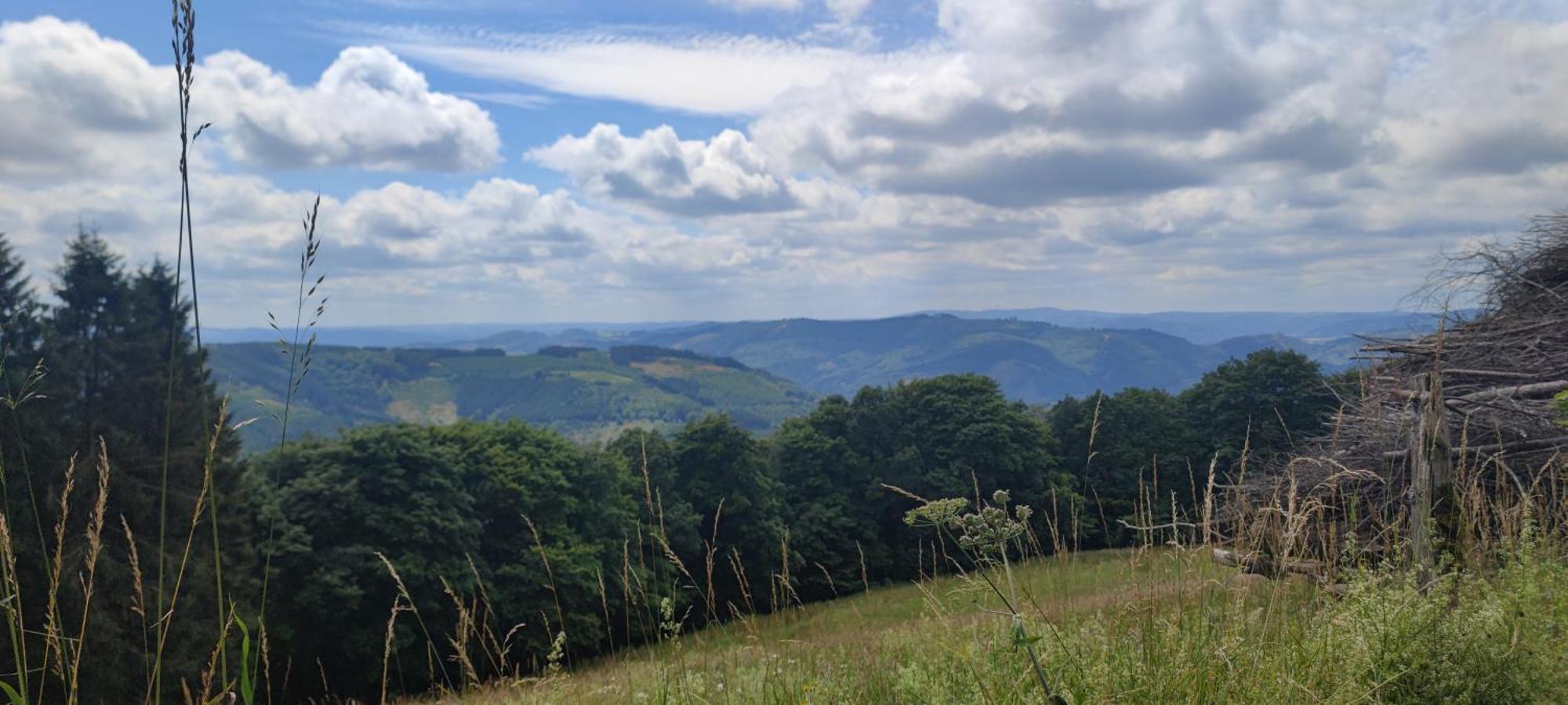 Modernes Rhombushaus Im Naturparadies Sauerland Balve Buitenkant foto